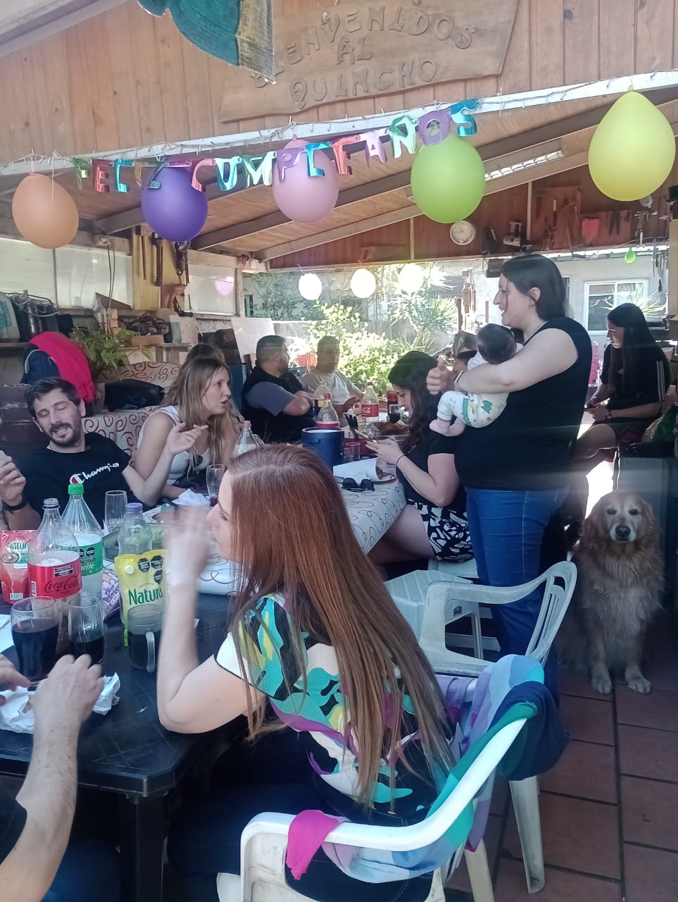 WhatsApp Image 2024-10-05 at 23.26.29.jpeg